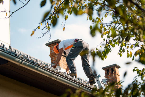 Roof Gutter Cleaning in Aberdeen, IN