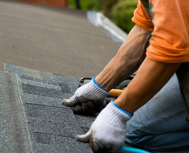 Best Metal Roofing Contractor  in Aberdeen, IN